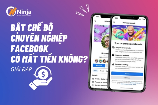 bật chế độ chuyên nghiệp facebook có mất tiền không