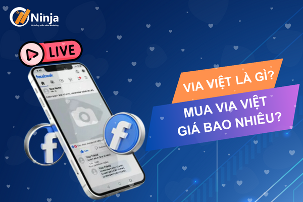 Những điều cần biết về via việt